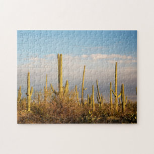 USA, Arizona, Saguaro National Park, Saguaro Legpuzzel