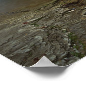 USA, Arkansas, Ozark- St Francis National Poster (Hoek)