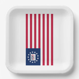 USA Betsy Ross 250e verjaardag 1776-2026 bord