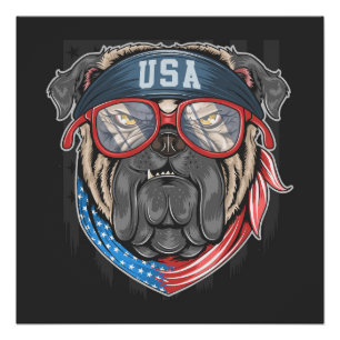 USA Bulldog Perfect Poster
