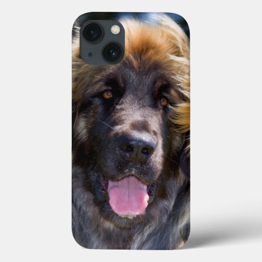 USA, California. Beeltenis: Leonberger Sitting Case-Mate iPhone Case (Achterkant)