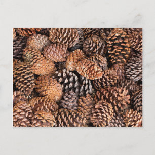 USA, California, Inyo National Forest Briefkaart