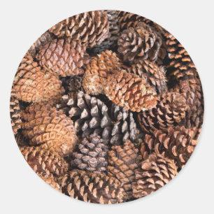 USA, California, Inyo National Forest Ronde Sticker