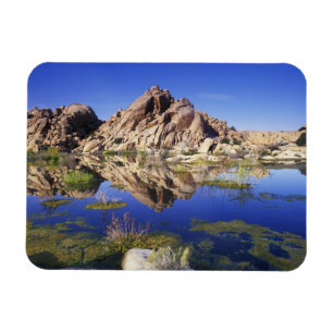 USA, California, Joshua Tree National Park Magneet