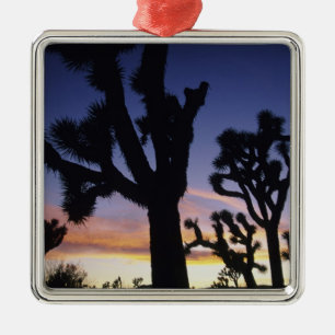 USA, California, Joshua Tree National Park Metalen Ornament