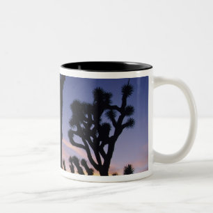 USA, California, Joshua Tree National Park Tweekleurige Koffiemok