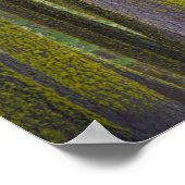 USA, California. Moss Covered Tree Trunks Poster (Hoek)