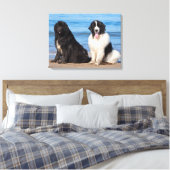 USA, California. Newfoundlands Sitting Canvas Afdruk (Insitu (Slaapkamer))