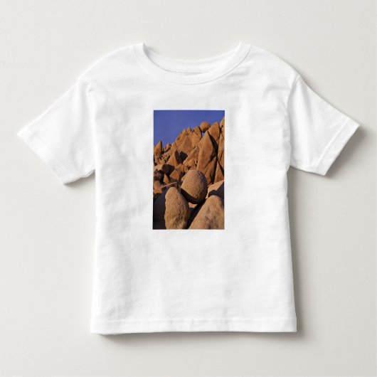 USA, Californië, Joshua Tree National Park. Kinder Shirts (Voorkant)