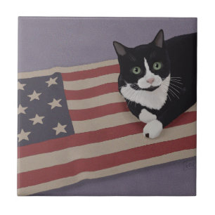 USA Cat Tegeltje
