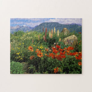 USA, Colorado, Crested Butte. Papavers en lupine Legpuzzel