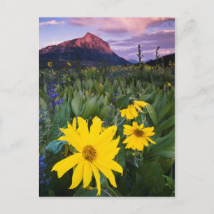 USA, Colorado, Mt. Crested Butte Briefkaart