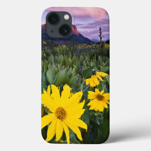 USA, Colorado, Mt. Crested Butte Case-Mate iPhone Case (Achterkant)