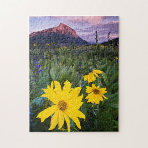 USA, Colorado, Mt. Crested Butte Legpuzzel