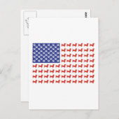 USA Dachshund Briefkaart (Voorkant / Achterkant)