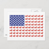 USA Dachshund Briefkaart (Voorkant / Achterkant)