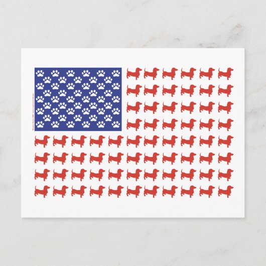 USA Dachshund Briefkaart (Voorkant)
