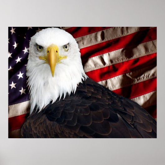 USA Eagle Patriotic Poster (Voorkant)