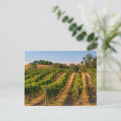 USA, Eastern Washington, Walla Walla Vineyards Briefkaart (Staand voorkant)