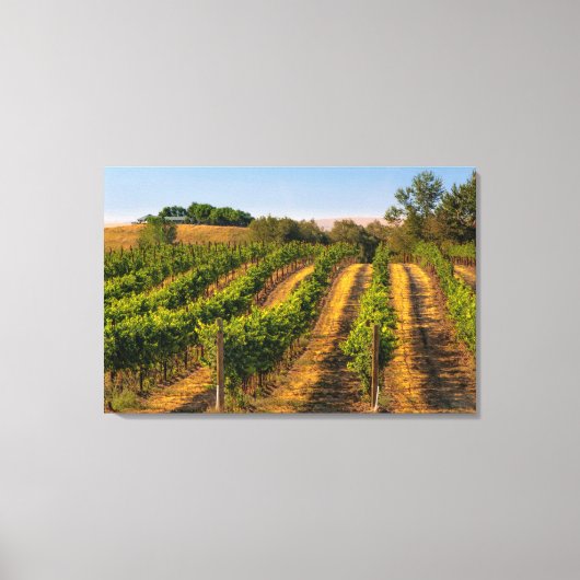 USA, Eastern Washington, Walla Walla Vineyards Canvas Afdruk (Voorkant)