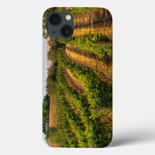 USA, Eastern Washington, Walla Walla Vineyards iPhone 13 Hoesje
