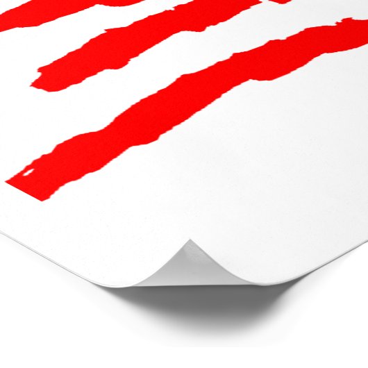 USA EST NÉ POUR EXÉCUTER UN POSTER PERSONNALISÉ (Coin)