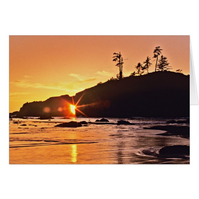 USA, Etat de Washington, Parc National Olympique.  (Devant horizontal)