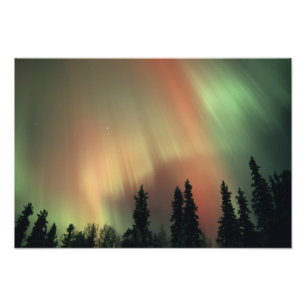 USA, Fairbanks area, Central Alaska, Aurora 3 Foto Afdruk