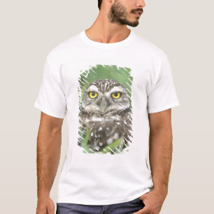 USA, Florida, Cape Coral, Burrowing Owl (Athene) T-shirt