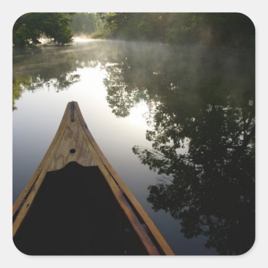 USA, Florida, Ocala National Forest, Alexander Vierkante Sticker (Voorkant)