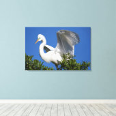 USA, Florida, St. Augustine, Egret Canvas Afdruk (Insitu (Houten vloer))