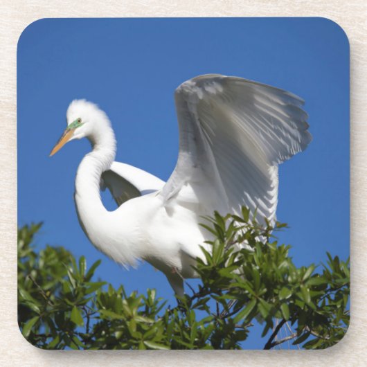 USA, Florida, St. Augustine, Egret Onderzetter (Voorkant)