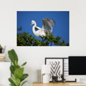 USA, Florida, St. Augustine, Egret Poster (Thuiskantoor)