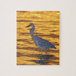 USA, Florida, St. Petersburg, Fort de Soto Park. Legpuzzel