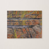 USA, Georgia, George Smith State Park, Cypress Legpuzzel (Horizontaal)