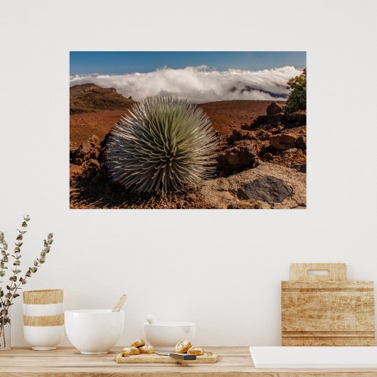 USA, Hawaii, Maui, Haleakala National Park Poster (Keuken)