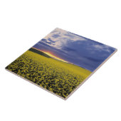 USA, Idaho, Swan Valley. Een woeste zonnebrand Tegeltje (Zijkant)