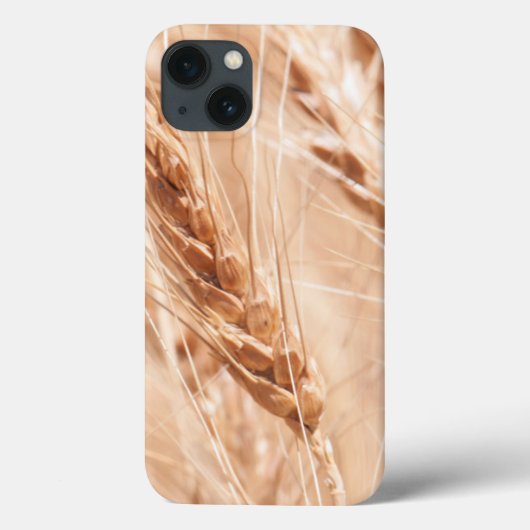 USA, Kansas, Wheat at Harvest Time Case-Mate iPhone Case (Achterkant)