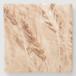USA, Kansas, Wheat at Harvest Time Stenen Onderzetter