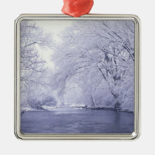 USA, Kentucky, Louisville. Sneeuw bedekt Metalen Ornament
