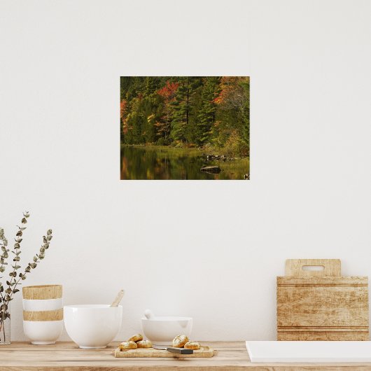 USA; Maine; Acadia NP. reflectie van de herfst bij Poster (Keuken)