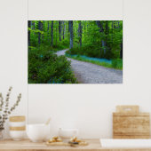 USA, Michigan. Path Thru The Woods Poster (Keuken)