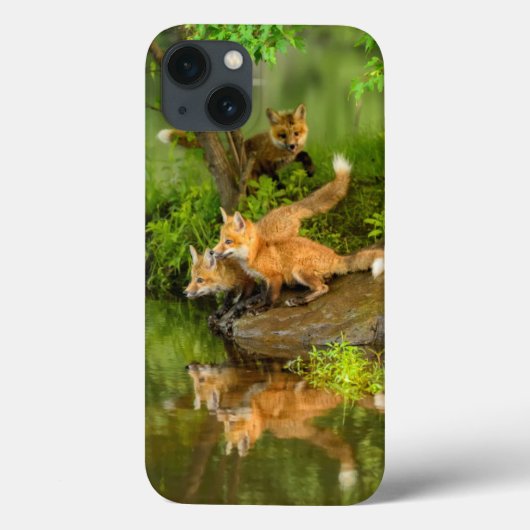 USA, Minnesota, Sandstone, Minnesota Wildlife 7 Case-Mate iPhone Case (Achterkant)