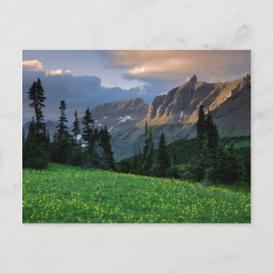 USA, Montana, Glacier National Park, Logan Pass Briefkaart