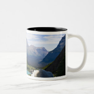 USA, Montana, Glacier National Park, Mountain Tweekleurige Koffiemok