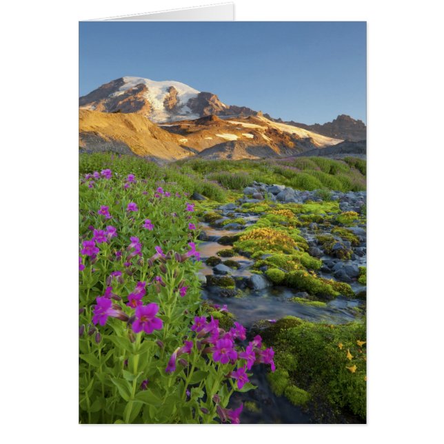 USA, Mt. Rainier National Park, Washington. (Voorkant)
