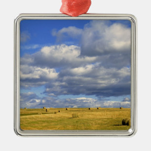 USA, Nebraska, Morrill County. Golden hooi Metalen Ornament