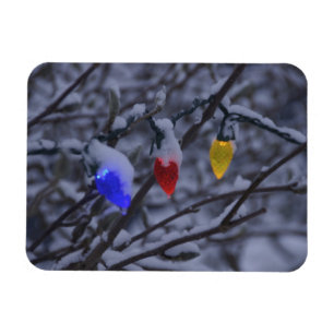 USA, New England, Massachusetts, Reading, 2 Magneet