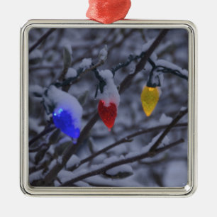 USA, New England, Massachusetts, Reading, 2 Metalen Ornament
