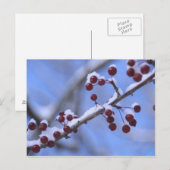 USA, New England, Massachusetts, Reading, 3 Briefkaart (Voorkant / Achterkant)